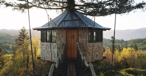 Después de ver todo lo que tiene esta «casa de árbol» querrás vivir en ella para siempre