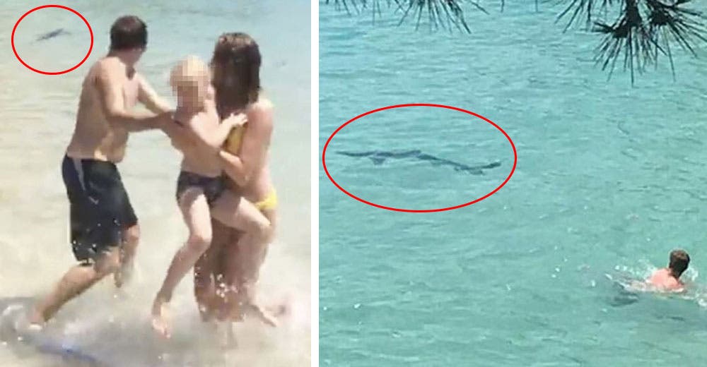 ¡Terror en la costa! – Lo que vivieron estos bañistas en esta playa te dejará sin palabras