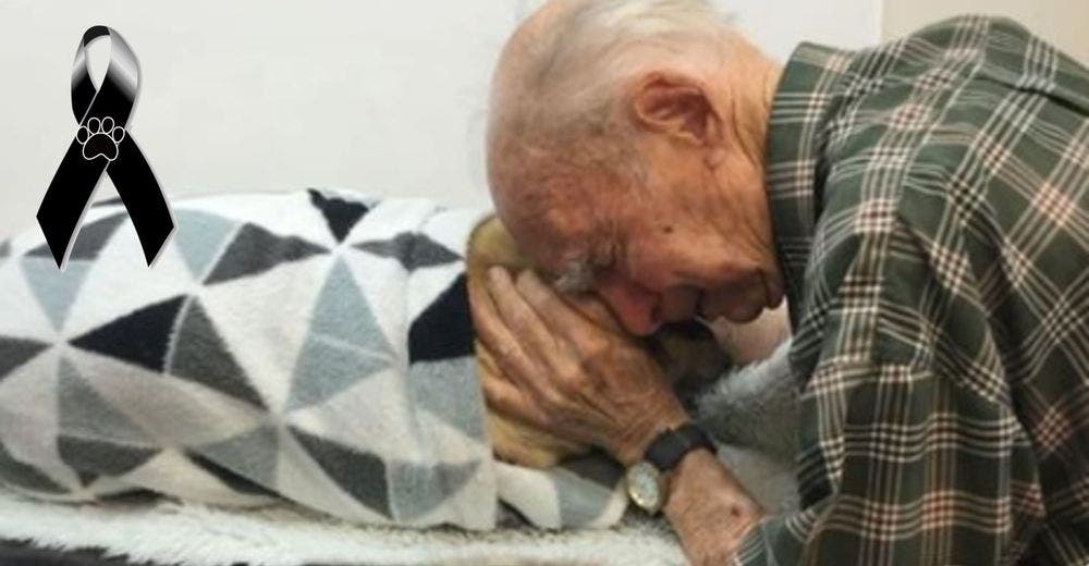 Un anciano de 96 años se aferra a su perro fallecido tras la reciente muerte de su esposa