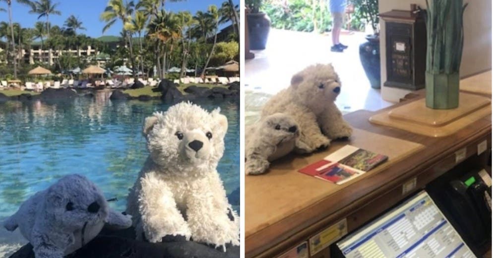 Los empleados de un hotel responden a la súplica de la familia del niño que olvidó su peluche