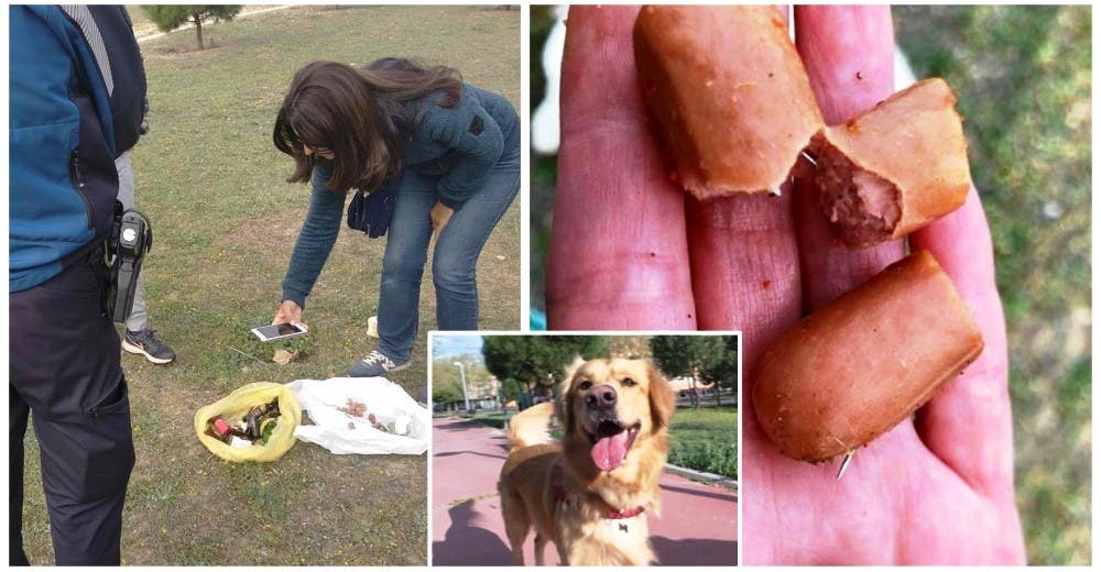 La policía alerta del hallazgo de salchichas con alfileres en un parque e identifica al culpable