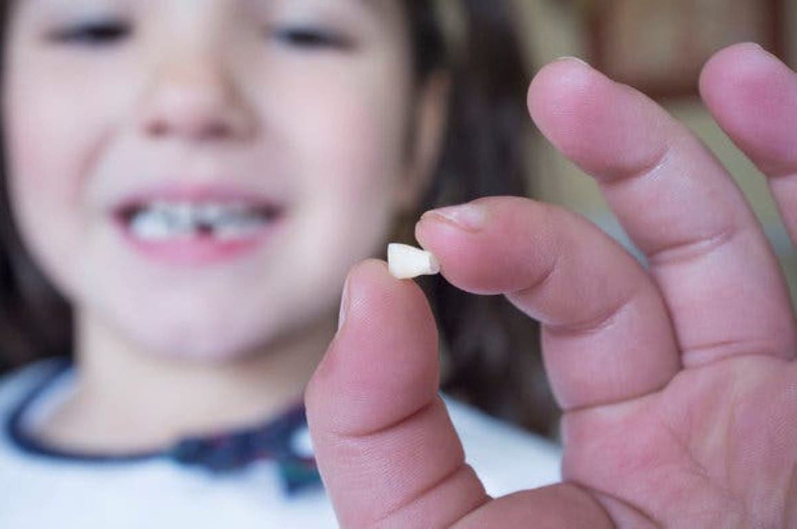 Un estudio advierte a los padres la importancia de guardar los dientes