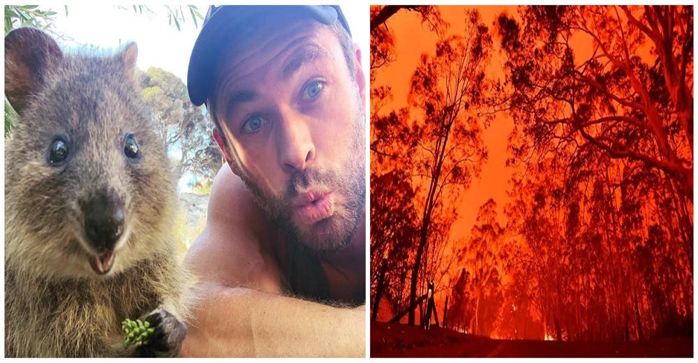 El superhéroe de la vida real – El actor Chris Hemsworth combate contra el fuego en Australia