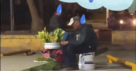 Piden ayuda a las redes para que le compren flores al triste abuelito que no vende nada