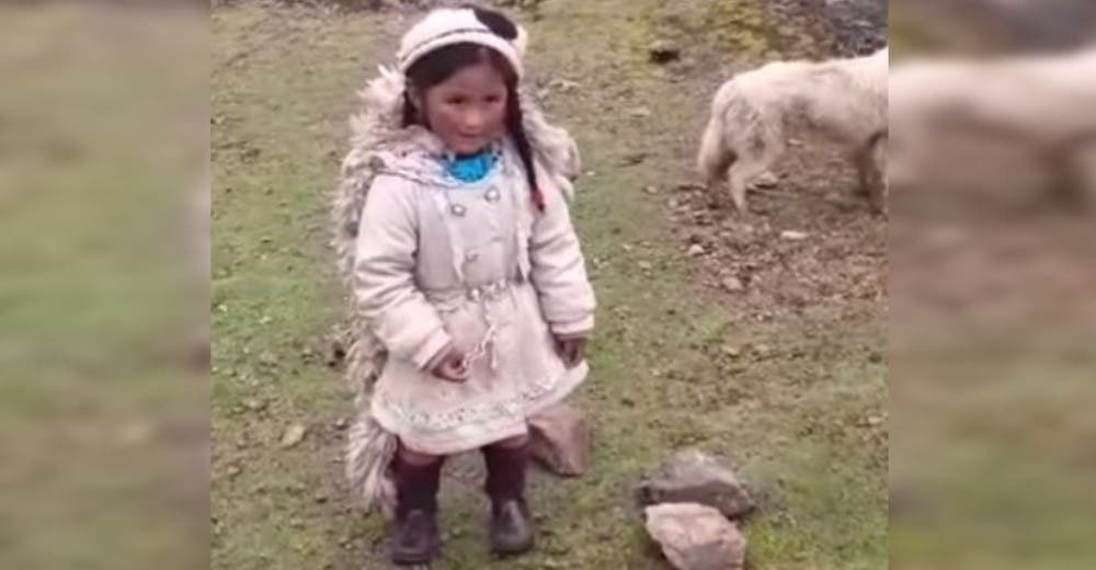 Una humilde niña dramatiza el cuento del lobo y la oveja para enviárselo a su maestra