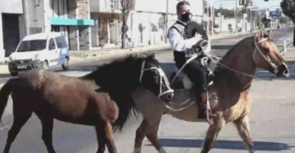 Se gradúa a los 54 años y viaja a caballo 50 kilómetros para poder recibir su título