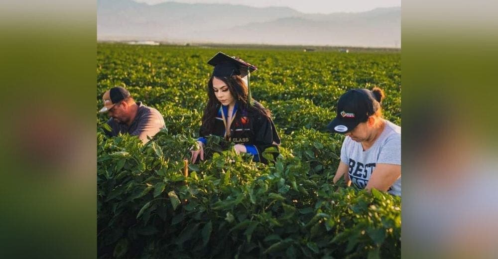 Celebra su graduación en el campo donde sus humildes padres trabajan recolectando fresas