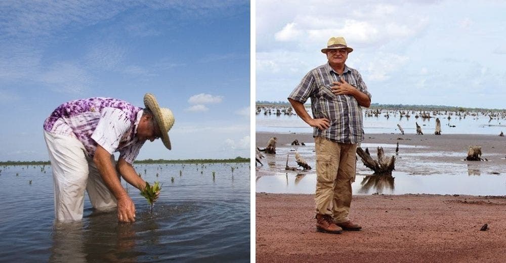 Se dedica durante 10 años a reforestar manglares para proteger la biodiversidad