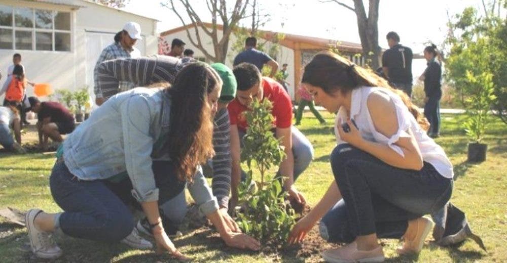 Estado mexicano obliga a plantar un árbol como requisito para obtener el título universitario